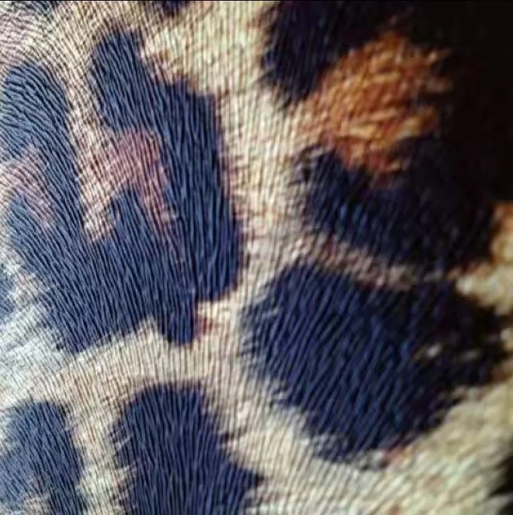 Professional Leopard PU Printed Leather For Shoes And Bags